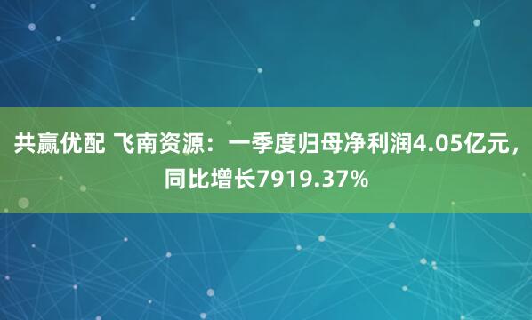 共赢优配 飞南资源：一季度归母净利润4.05亿元，同比增长7919.37%