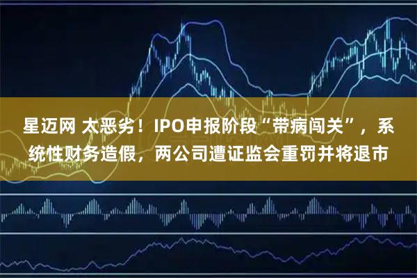 星迈网 太恶劣！IPO申报阶段“带病闯关”，系统性财务造假，两公司遭证监会重罚并将退市